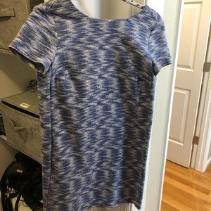 Ann Taylor loft blue dress petite